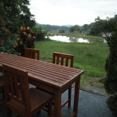 Mama Tia Family Homestay Rantepao Kültér fotó